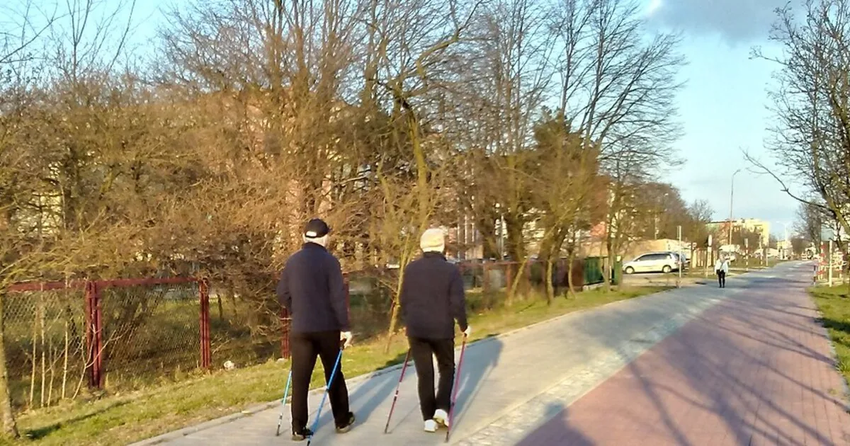 Csontritkulás: a csontok egészsége, a megelőzés és a mozgás szerepe